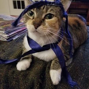 Meet your Posher, Jm